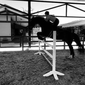 Meet your Posher, Caroline